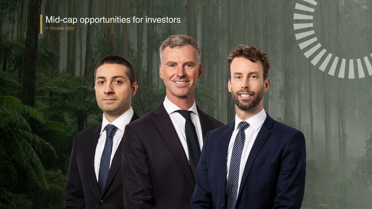 Mid-cap opportunities for investors