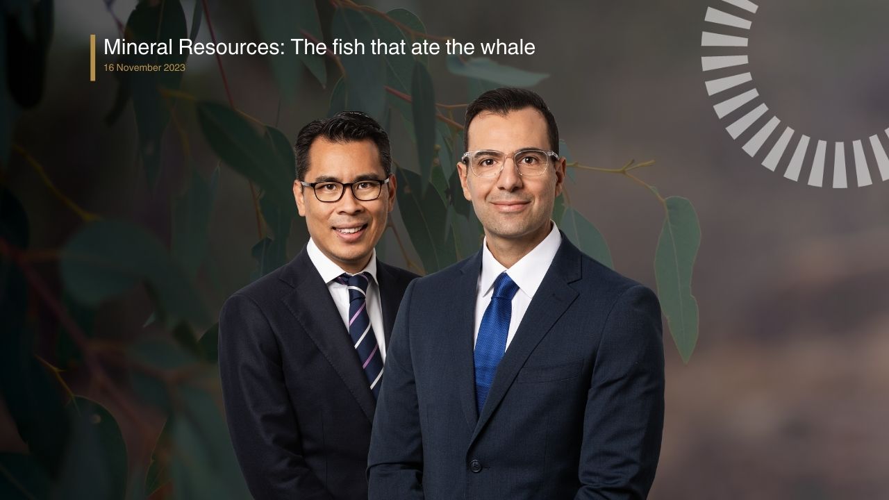 Mineral Resources: The fish that ate the whale